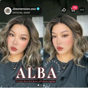 Alba 12 Inches Wave Dark Brown with Blonde Highlight